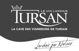 Nos vins